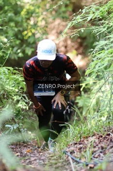 Runner Photo 1742623