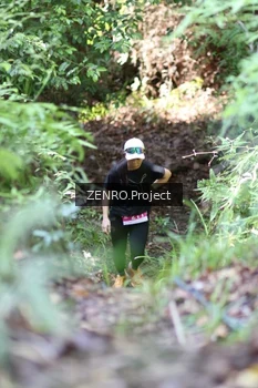 Runner Photo 1742640