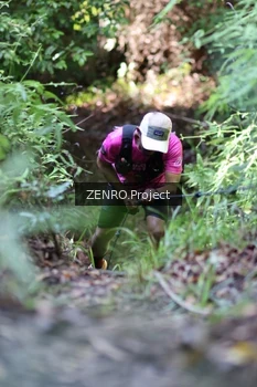 Runner Photo 1742772