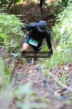 Runner Photo 1742853