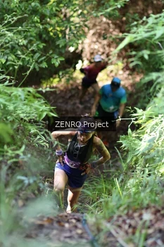 Runner Photo 1742955