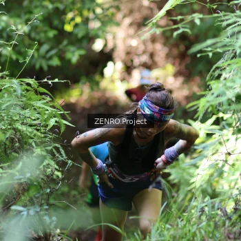 Runner Photo 1742967