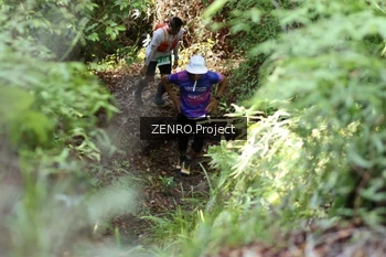 Runner Photo 1743030