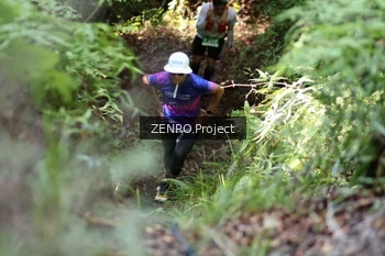 Runner Photo 1743039