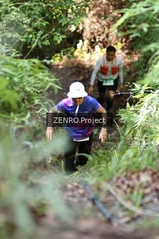 Runner Photo 1743046