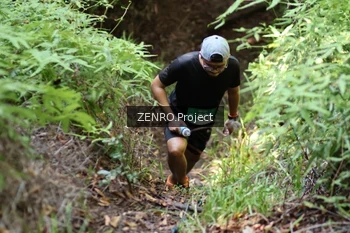 Runner Photo 1743295