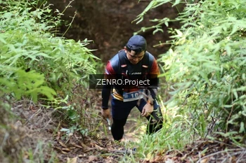 Runner Photo 1743343