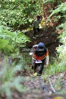 Runner Photo 1743594