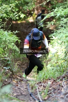 Runner Photo 1743603