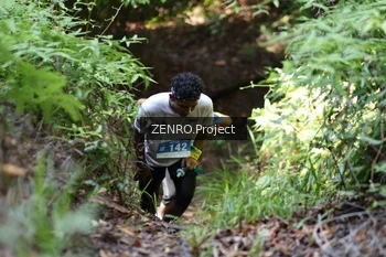 Runner Photo 1743611