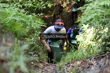 Runner Photo 1743658