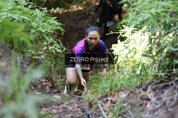 Runner Photo 1743702