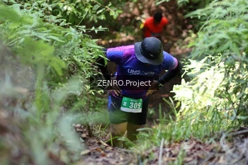 Runner Photo 1743796