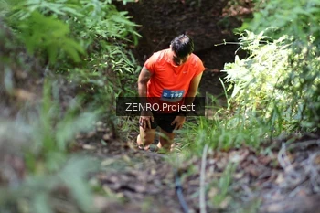 Runner Photo 1743837