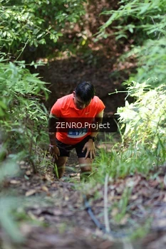 Runner Photo 1743841