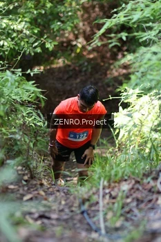 Runner Photo 1743848