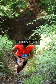 Runner Photo 1743853