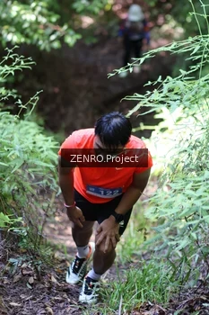 Runner Photo 1743856