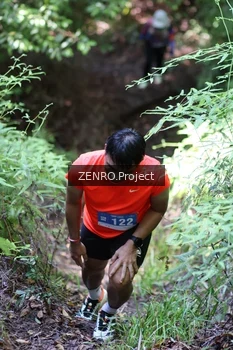 Runner Photo 1743857