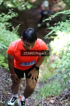 Runner Photo 1743868