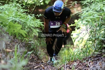 Runner Photo 1744015