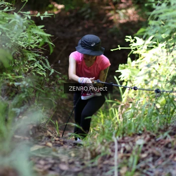 Runner Photo 1744031