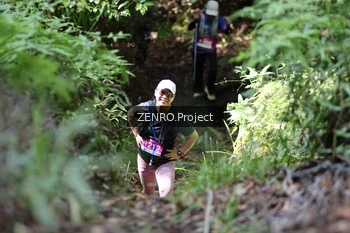Runner Photo 1744226