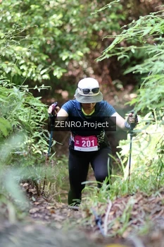 Runner Photo 1744314