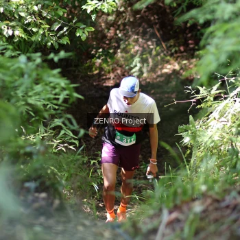 Runner Photo 1744595