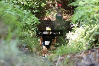 Runner Photo 1744640