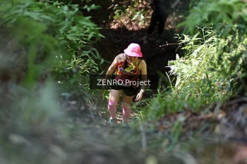 Runner Photo 1744686