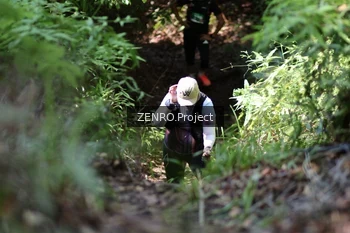 Runner Photo 1744746