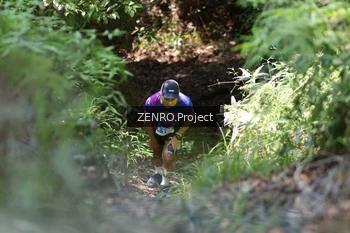 Runner Photo 1744847