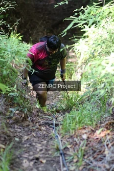 Runner Photo 1744922