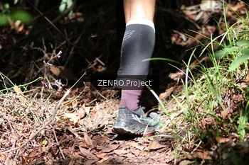 Runner Photo 1745093