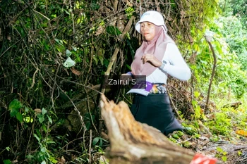 Runner Photo 1745282