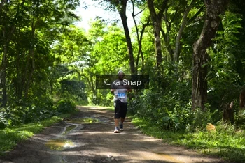 Runner Photo 1746298