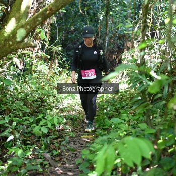 Runner Photo 1746358