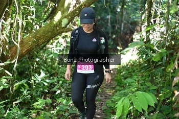 Runner Photo 1746366
