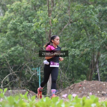 Runner Photo 1746415