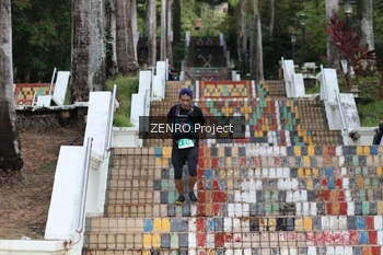 Runner Photo 1746896