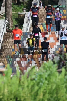 Runner Photo 1747464