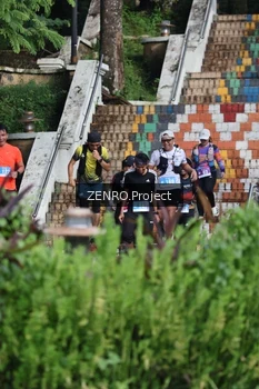 Runner Photo 1747477