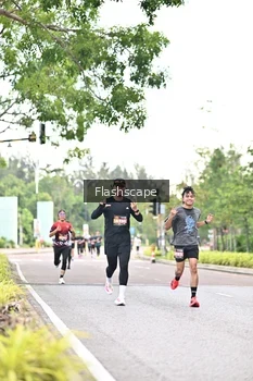 Runner Photo 1760439