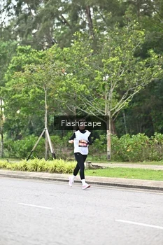 Runner Photo 1761217