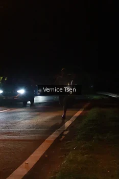 Runner Photo 1767626