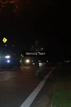 Runner Photo 1767848