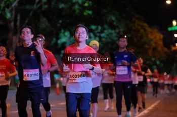 Runner Photo 1831382