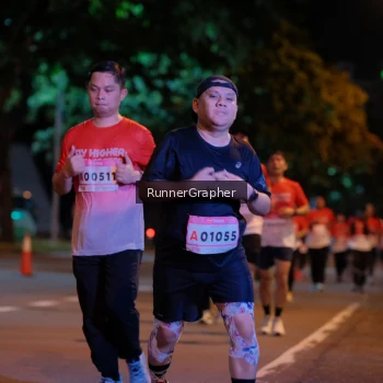 Runner Photo 1833599