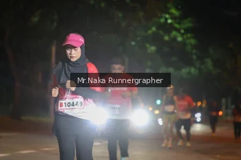 Runner Photo 1841381
